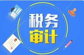 稅務(wù)審計、财務(wù)審計等